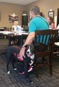 Photo of service dog